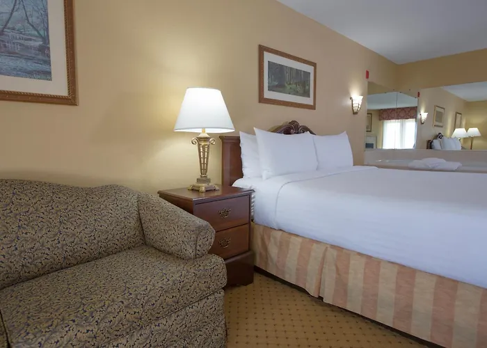 Dog friendly hotels Music Road Resort And Inn
